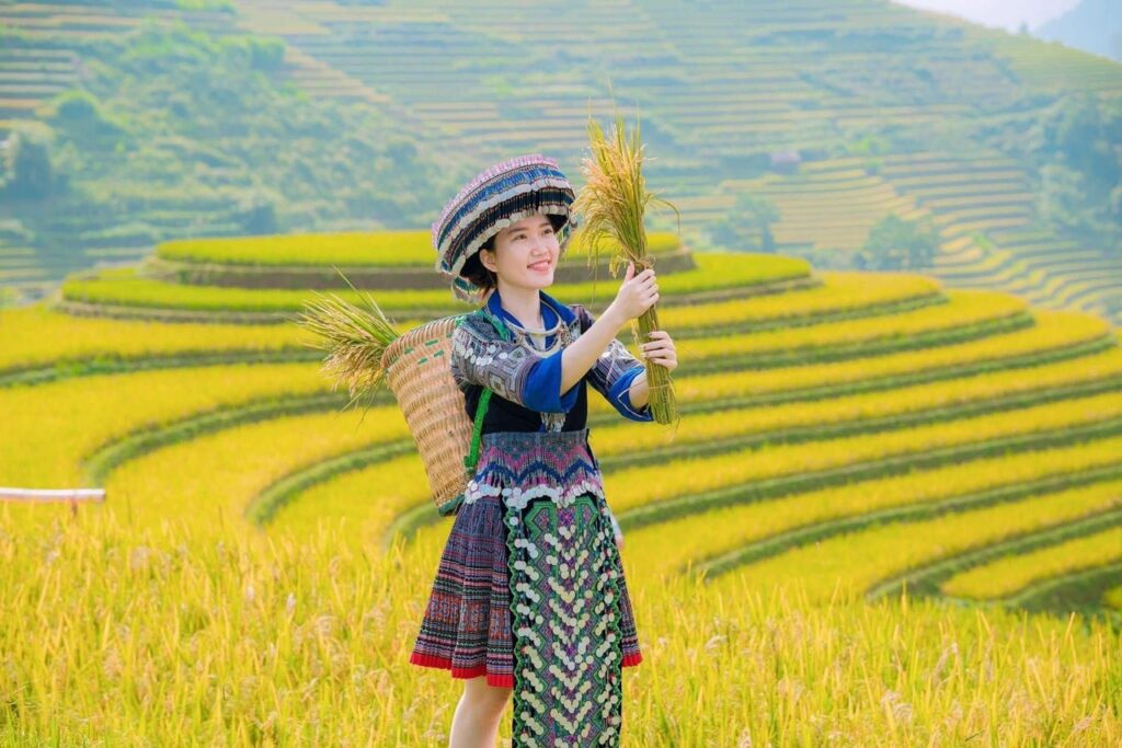 Bản Háng Đồng Tour Tà Xùa